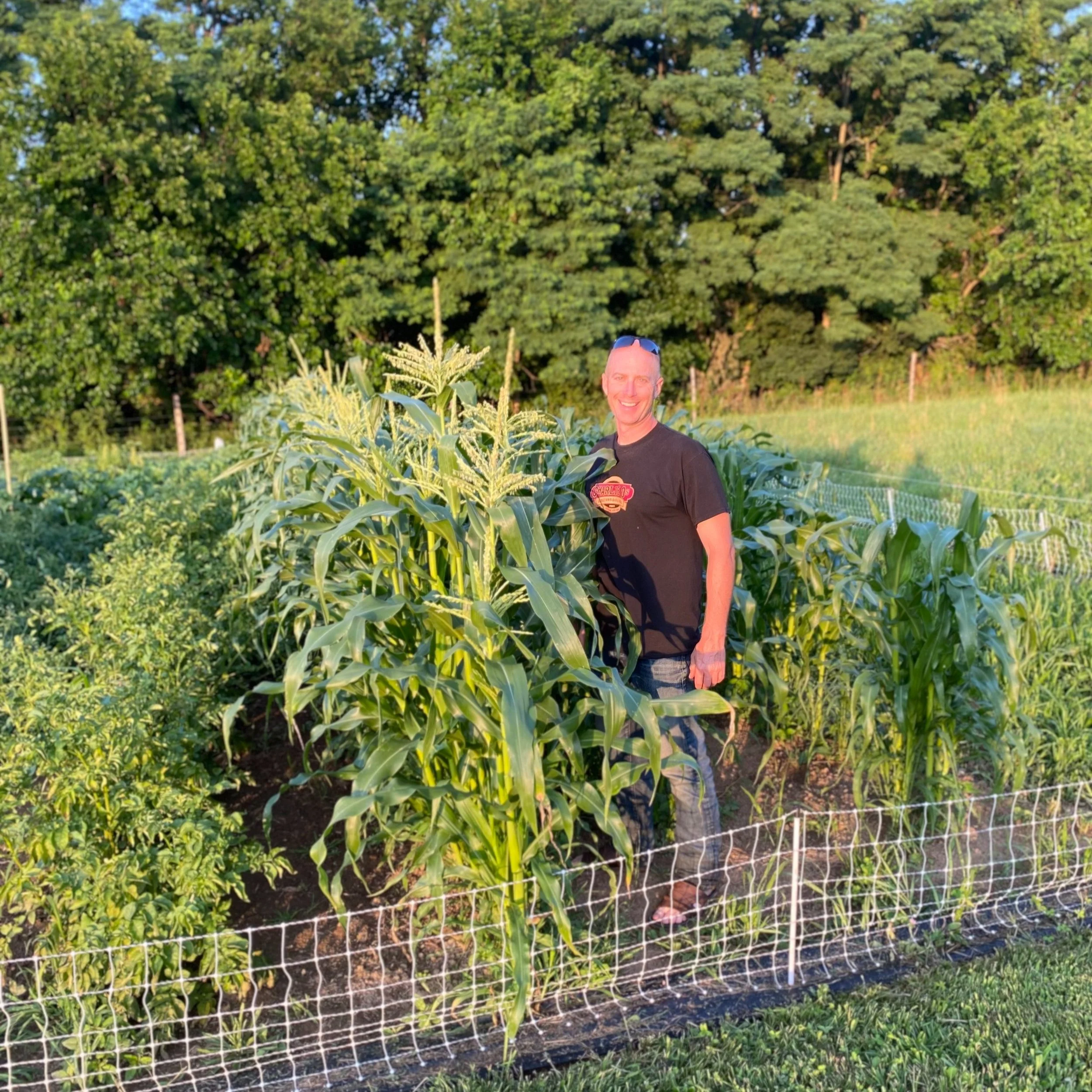 Man standing in a lush vegetable garden, smiling beside tall corn plants with a backdrop of trees, showcasing a successful home gardening effort.
